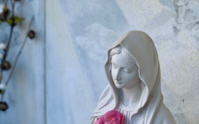 Dove trovare Maria? Dov’è Gesù! E troviamo Gesù dov’è Maria